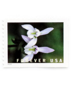 U.S. 2021 Wild Orchids Framed Forever Stamps