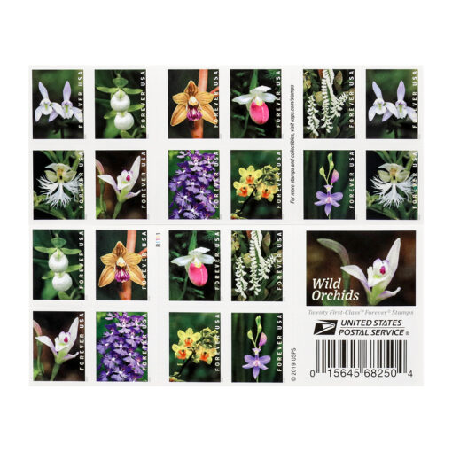 U.S. 2021 Wild Orchids Framed Forever Stamps - Image 5