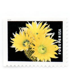 U.S. 2019 Cactus Forever Stamps