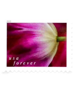 2023 US First-Class Forever Stamps – Tulip Blossoms booklet