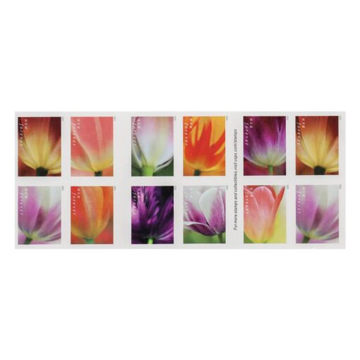 2023 US First-Class Forever Stamps – Tulip Blossoms booklet - Image 2