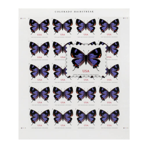 US 2021 Colorado Hairstreak Stamps Forever - Image 2
