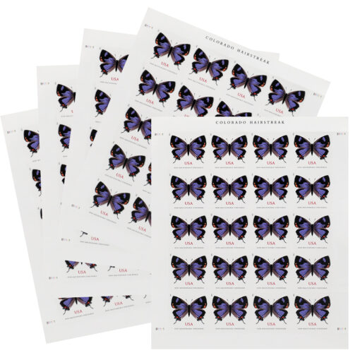 US 2021 Colorado Hairstreak Stamps Forever - Image 5