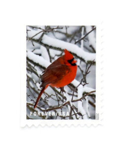 2020 US ‘Winter Scenes’ Forever Postage Stamps