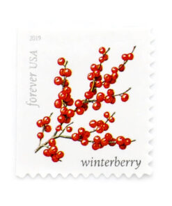 2019 US Winter Berries Forever Stamps
