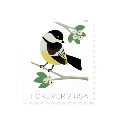 2018 US First-Class Forever Stamp – Birds in Winter