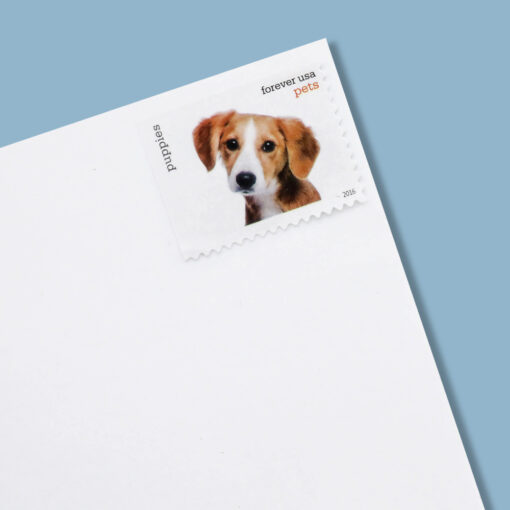 2016 US Pets Forever Stamps - Image 6